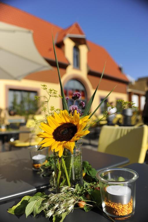 Wohlfuehlhotel Alte Rebschule Rhodt unter Rietburg Dış mekan fotoğraf