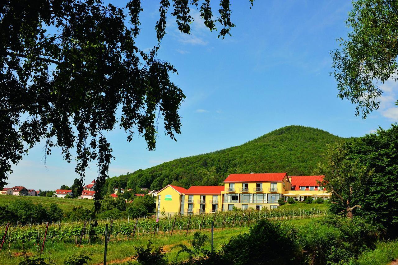 Wohlfuehlhotel Alte Rebschule Rhodt unter Rietburg Dış mekan fotoğraf